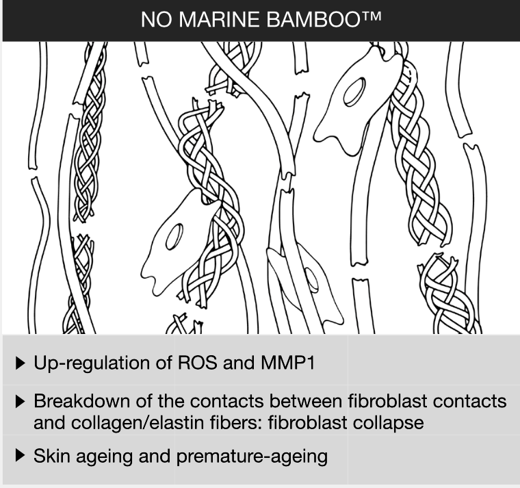 Serum Odbudowujące Przed