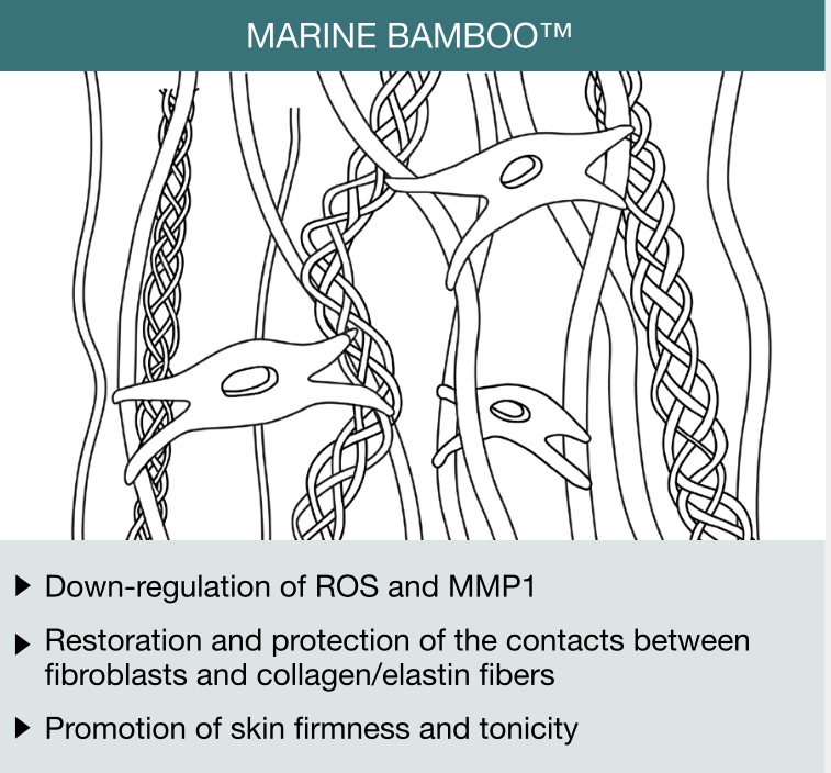 Serum Odbudowujące Po